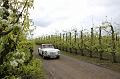 MG Bloesemrit op 24-4-2016 org. Jos&Marie-lou  (42)